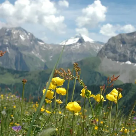 Baergchutzli 1- Stock By Interhome