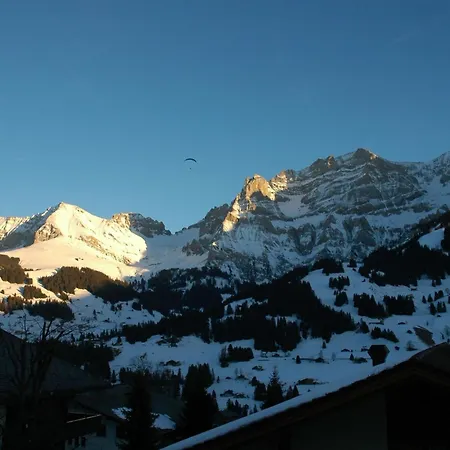 Baergchutzli 1- Stock By Interhome Διαμέρισμα *