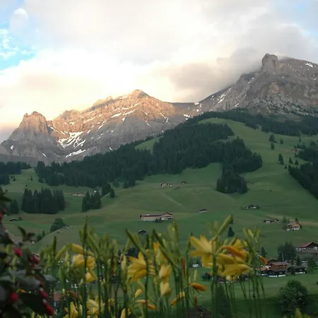 Apartament Baergchutzli 1- Stock By Interhome