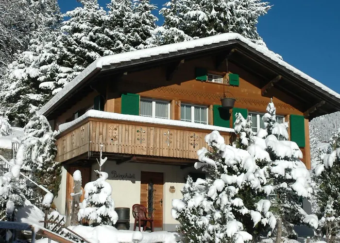 Baergchutzli 1- Stock By Interhome ادلبودن