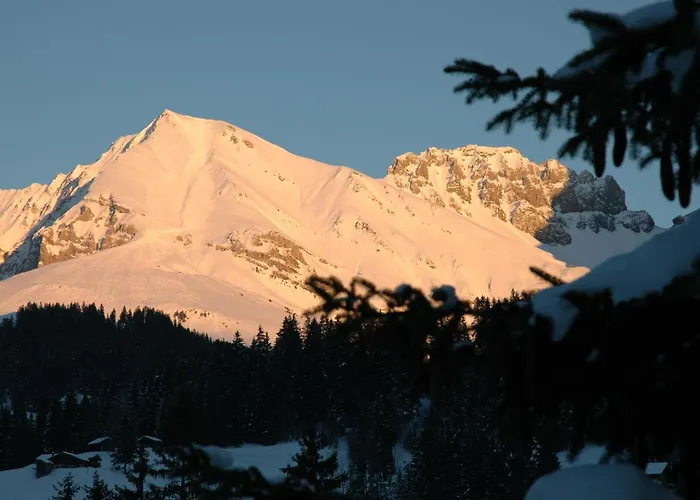 Baergchutzli 1- Stock By Interhome شقة *