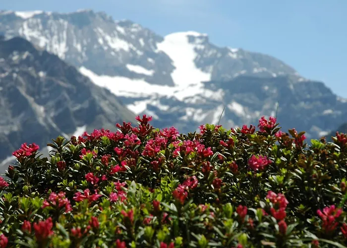 Baergchutzli 1- Stock By Interhome ادلبودن