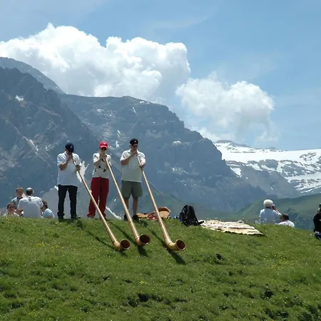 Baergchutzli 1- Stock By Interhome Apartamento