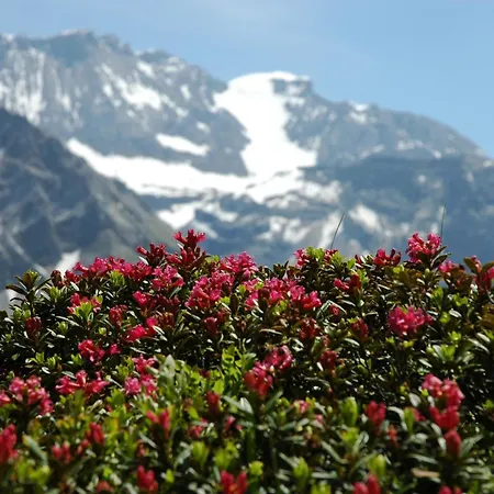 Baergchutzli 1- Stock By Interhome Adelboden