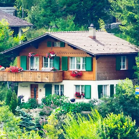 Apartamento Baergchutzli 1- Stock By Interhome Adelboden