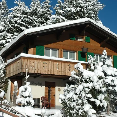 Baergchutzli 1- Stock By Interhome ادلبودن
